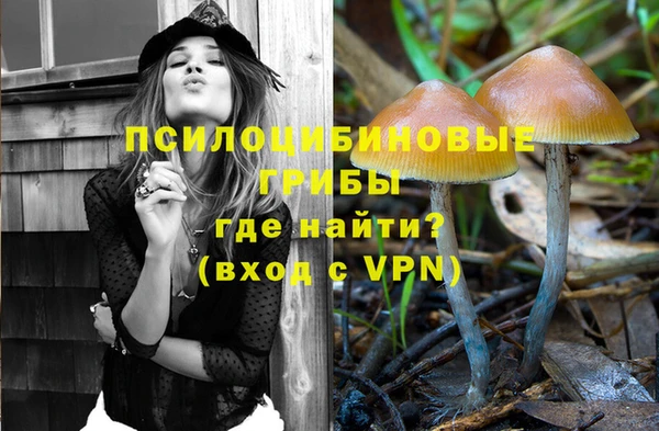ECSTASY Заволжск