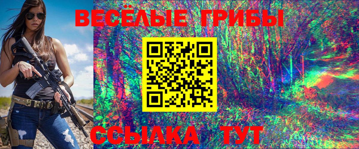 Галлюциногенные грибы Psilocybine cubensis Лыткарино