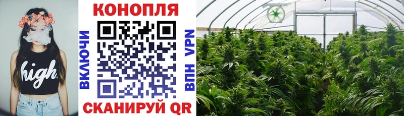 магазин    Лыткарино  Бошки марихуана конопля 